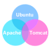 Post image for Getting Apache 2 and Tomcat 6 to Collaborate on a Ubuntu 10 server