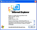 Microsoft Internet Explorer 6